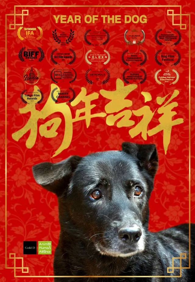 Poster for Year of the Dog